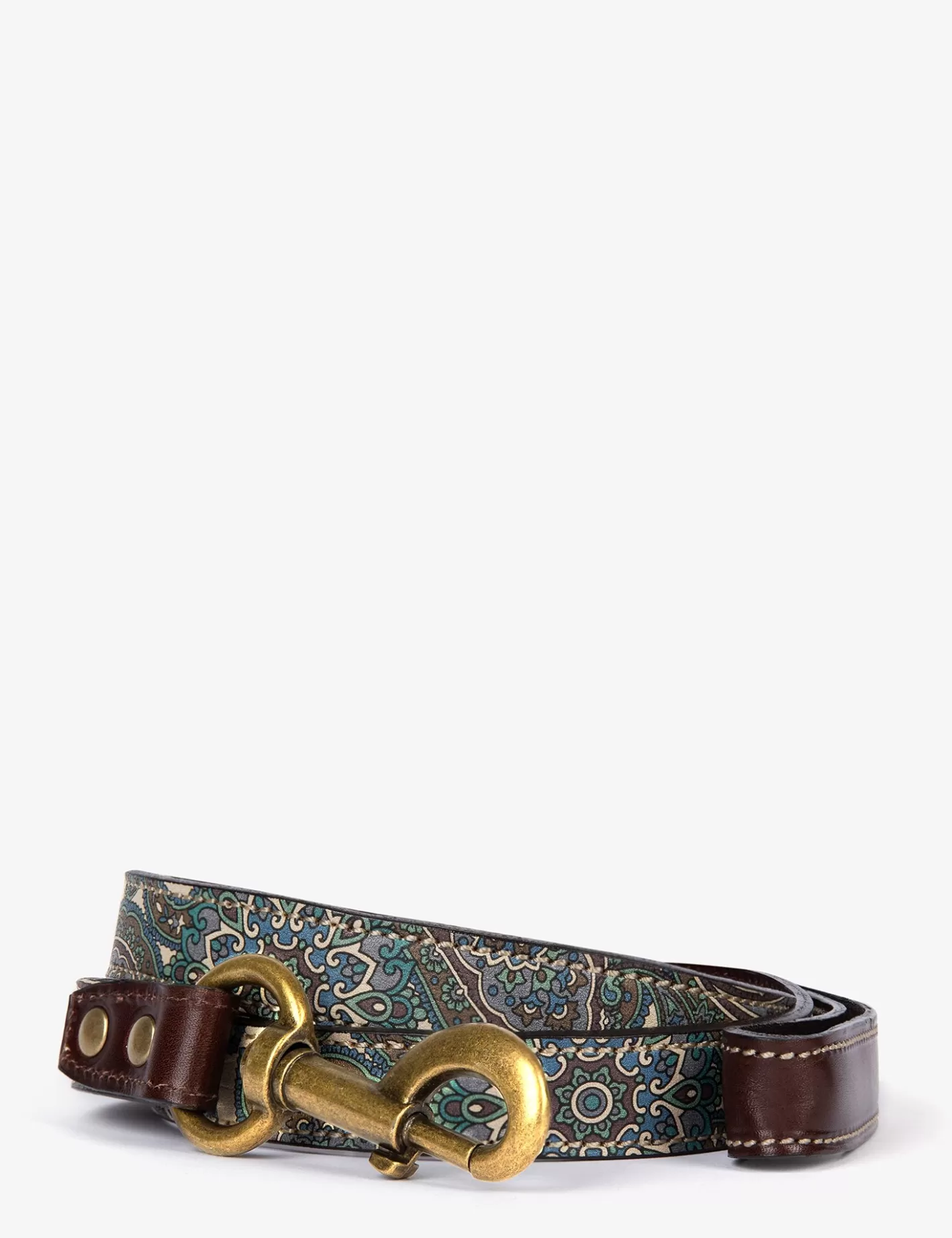 Shop Paisley Dog Lead Dog Accessories